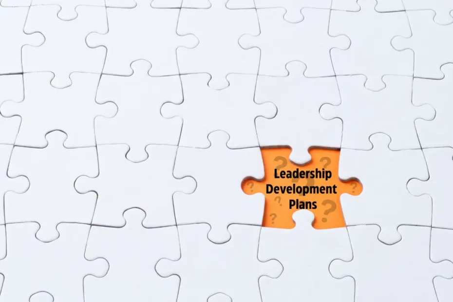 A Puzzle with a missing piece. The missing piece is labeled "Leadership Development Plans"